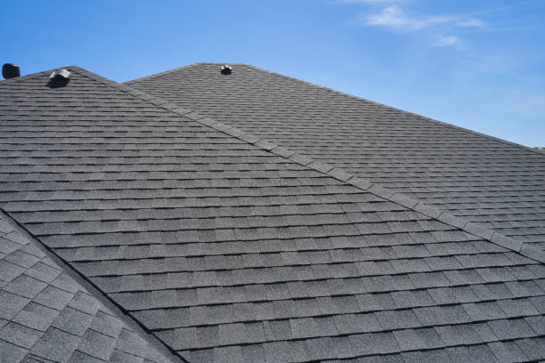 Best Roof Moss and Algae Removal  in Fond Du Lac, WI